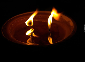 Pożegnanie pani prof. Ewy Łoś-Jankowskiej